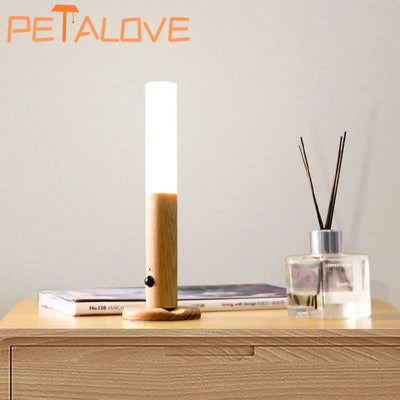 Intelligent Human Body Induction Night Light LED - Smart Nest Gadgets